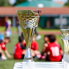 mocchetti_calcio_cup_2_0_under9_2016_00004