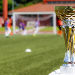mocchetti_calcio_cup_2_0_under9_2016_00005